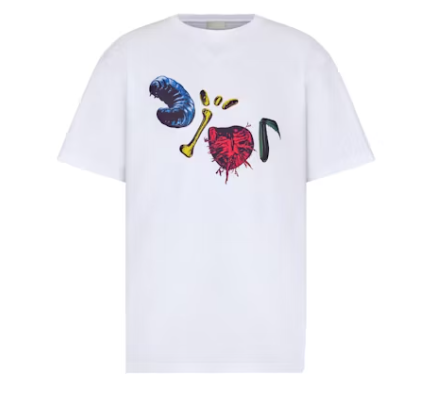 Dior x CACTUS JACK Oversized T shirt White Multicolor 1.png