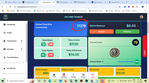 Delle Group Global Downline 17279 Members.png