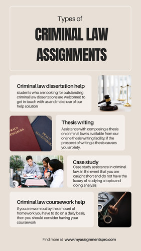 criminal law assignment help.jpg