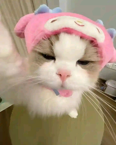 undefined.jpg
