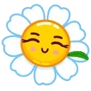 1738289043 1222724770.webp