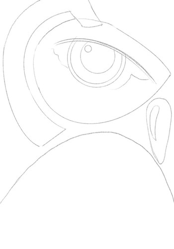 1738301336 1751360256.jpg