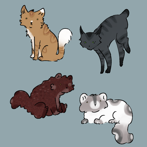 Untitled1494 20250130205750.png