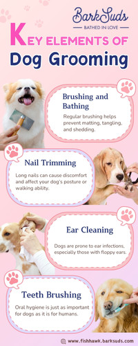 Affordable Dog Grooming Fishhawk.jpg