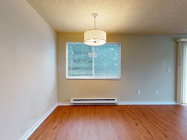 849bb40296f089c58a9a16a03b3d525c cc ft 384.webp