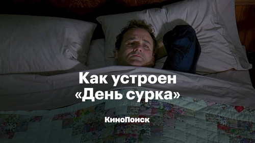 5822391532454521847 y 4.jpg