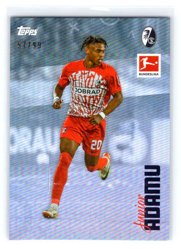 Document 20250202 0128.jpg