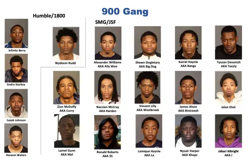 900 gang bust.webp