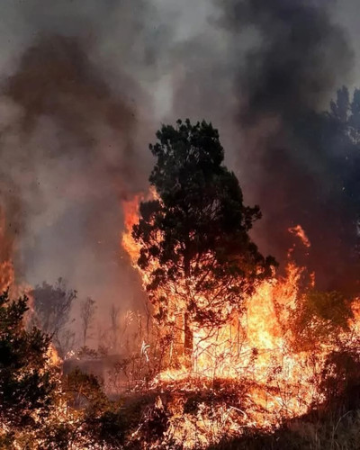 FB IMG 1738349885808.jpg