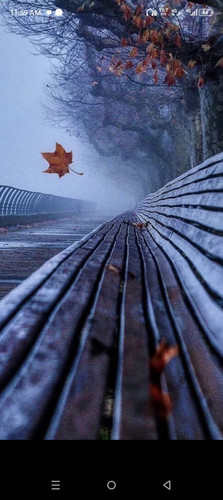 Screenshot 20250131 115945.jpg