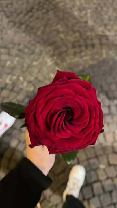 received 840614677768494.jpg