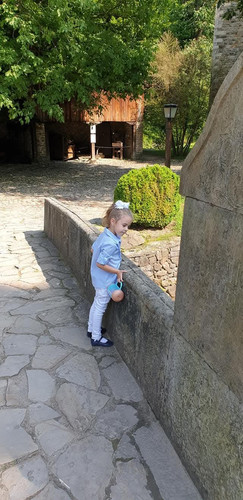 IMG 1738406665462.jpg