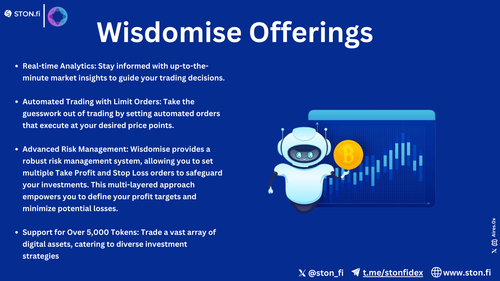 stonfi wisdomise (1).png