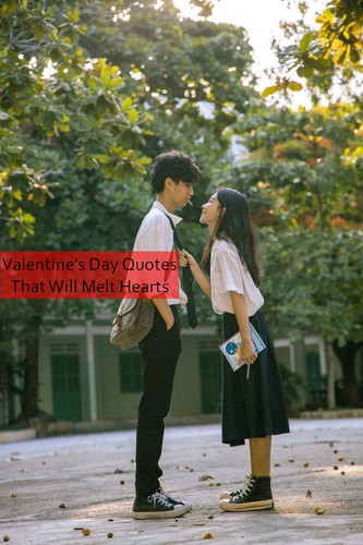 Valentines Day Quotes 1306.jpg