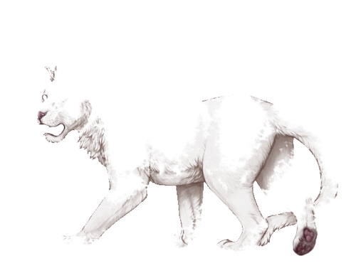 IMG 2989.png