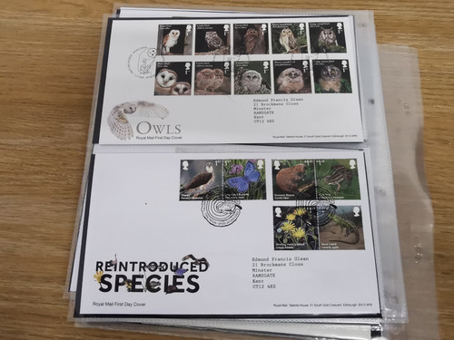 IMG 20250131 183333.jpg