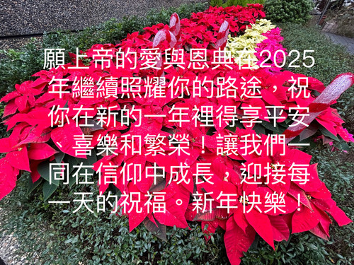 216361C1 7ECB 43E5 B448 7FB1DE404E75.jpg