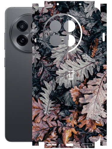 OnePlus 13R (5G) DryLeaves.jpg