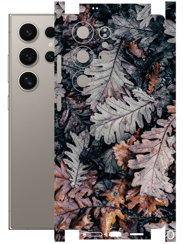 Samsung S25 Ultra (5G) DryLeaves.jpg