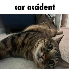 images.jpg