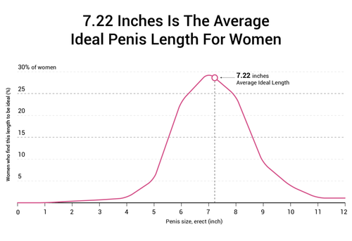 7.22 Inches Is The Average Ideal Penis Length For Women 1024x702.png