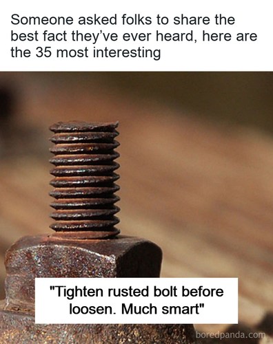 6a7efdb9 6b7d 4829 8009 a82734fb552e.png