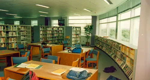 17345687812921956.webp