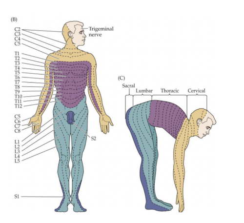 e062330c5f9a.png