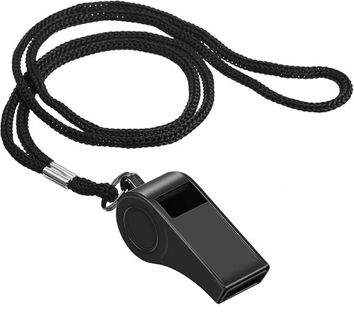 61YTfyPGXFL. AC SX679 .jpg