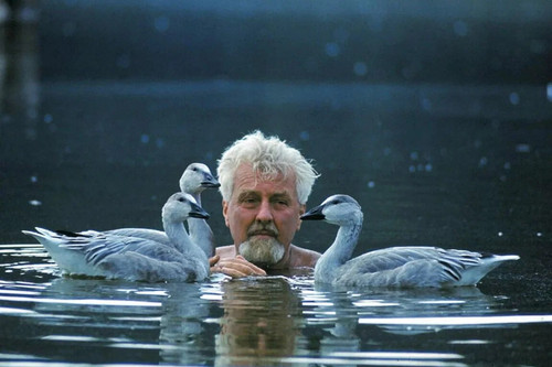 5837994371251812329 y 4.jpg