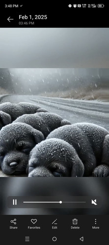 Screenshot 20250201 154800.jpg