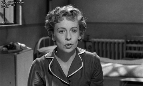 560069535 preview 02 57546.png