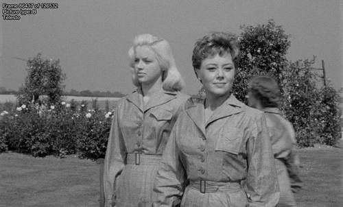 560069540 preview 03 86417.png