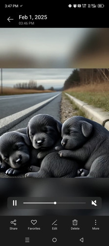 Screenshot 20250201 154756.jpg