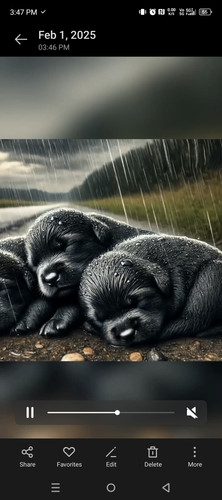 Screenshot 20250201 154758.jpg