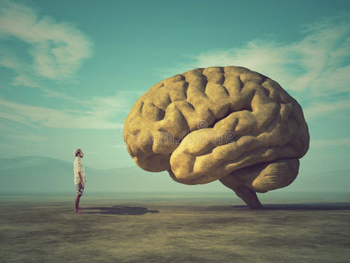 young conceptual image large stone shape human brain conceptual image large stone shape 110748113.jpg