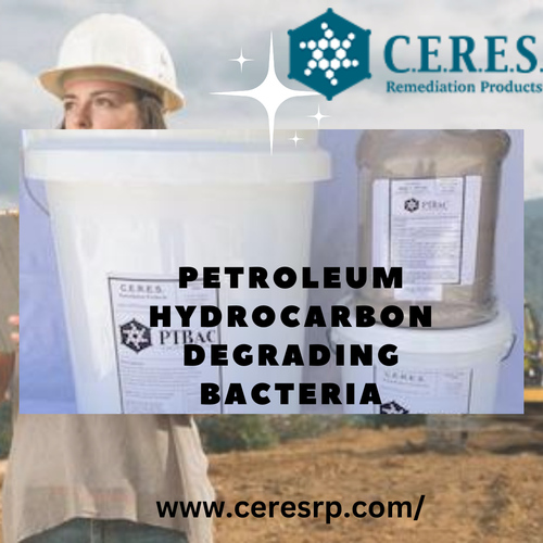 Effective Petroleum Hydrocarbon Degrading Bacteria for Environmental Remediation.png