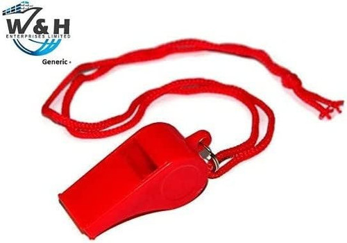 41wVRmLY 2L. AC .jpg