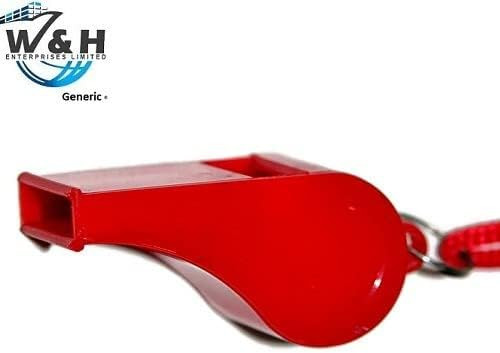 31KC6LyL+fL. AC .jpg