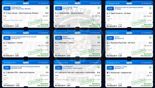 5833764232192178144 y 4.jpg