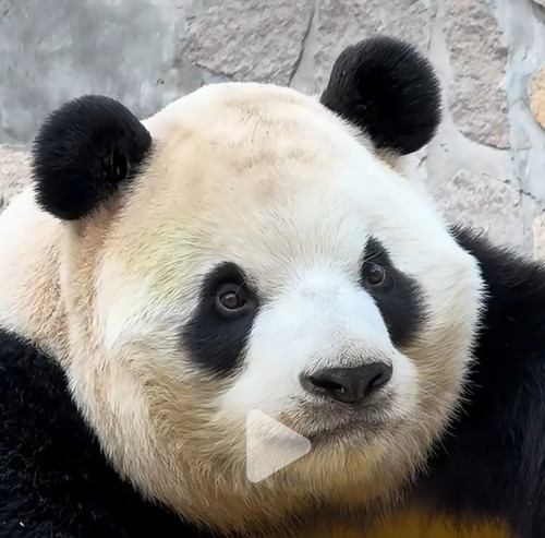 Screenshot 20250201 195458.jpg