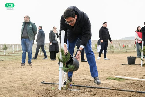 475755757 1034455135389577 3026692693734096609 n.jpg?stp=dst jpg p526x395 tt6& nc cat=103&ccb=1 7& n.jpg