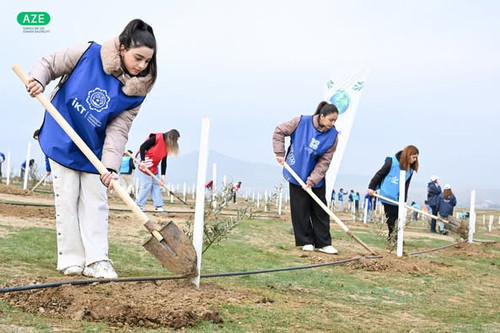 475459508 1034455172056240 8577809315750543684 n.jpg?stp=dst jpg p526x395 tt6& nc cat=100&ccb=1 7& n.jpg