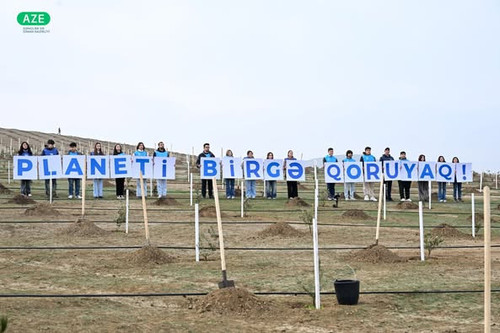 475782386 1034454972056260 5922017467945810568 n.jpg?stp=dst jpg p526x395 tt6& nc cat=110&ccb=1 7& n.jpg