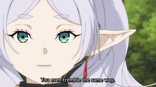 [Erai raws] Sousou no Frieren 06 [1080p][Multiple Subtitle][EA9DAF4A].mkv snapshot 07.02 [2025.01.30