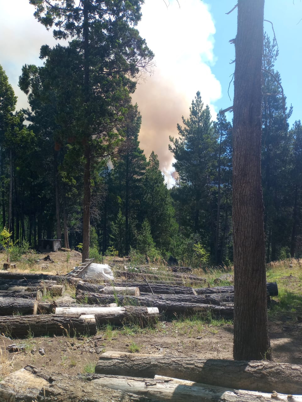 Incendio en el camino al Cajón del Azul: Autoridades piden precaución a la comunidad