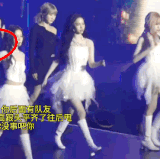 IMG 9639.gif