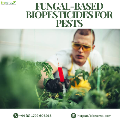 Harnessing Fungal-Based Biopesticides: A Natural Solution for Pest Control.png