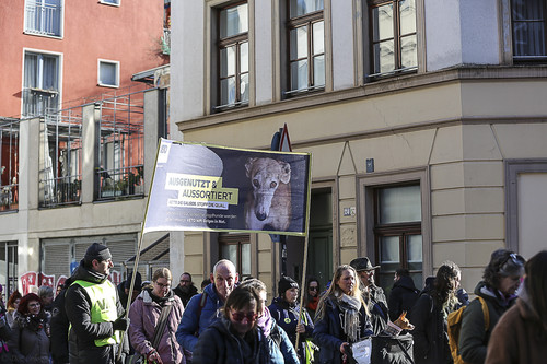 Galgo Marsch Köln 2025 321.jpg