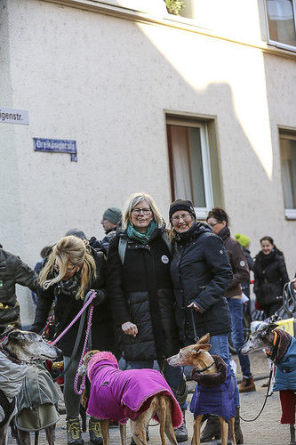 Galgo Marsch Köln 2025 337.jpg